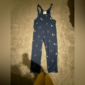 Icelantic women’s large Blue corduroy Overalls with embroidered skiers Prints